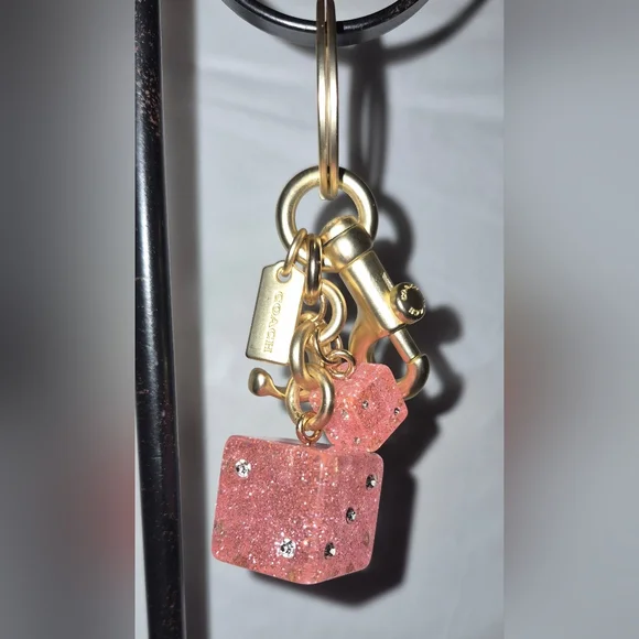 NWOT Coach Dice Cluster Bag Charm/ Keychain - Picture 4 of 9